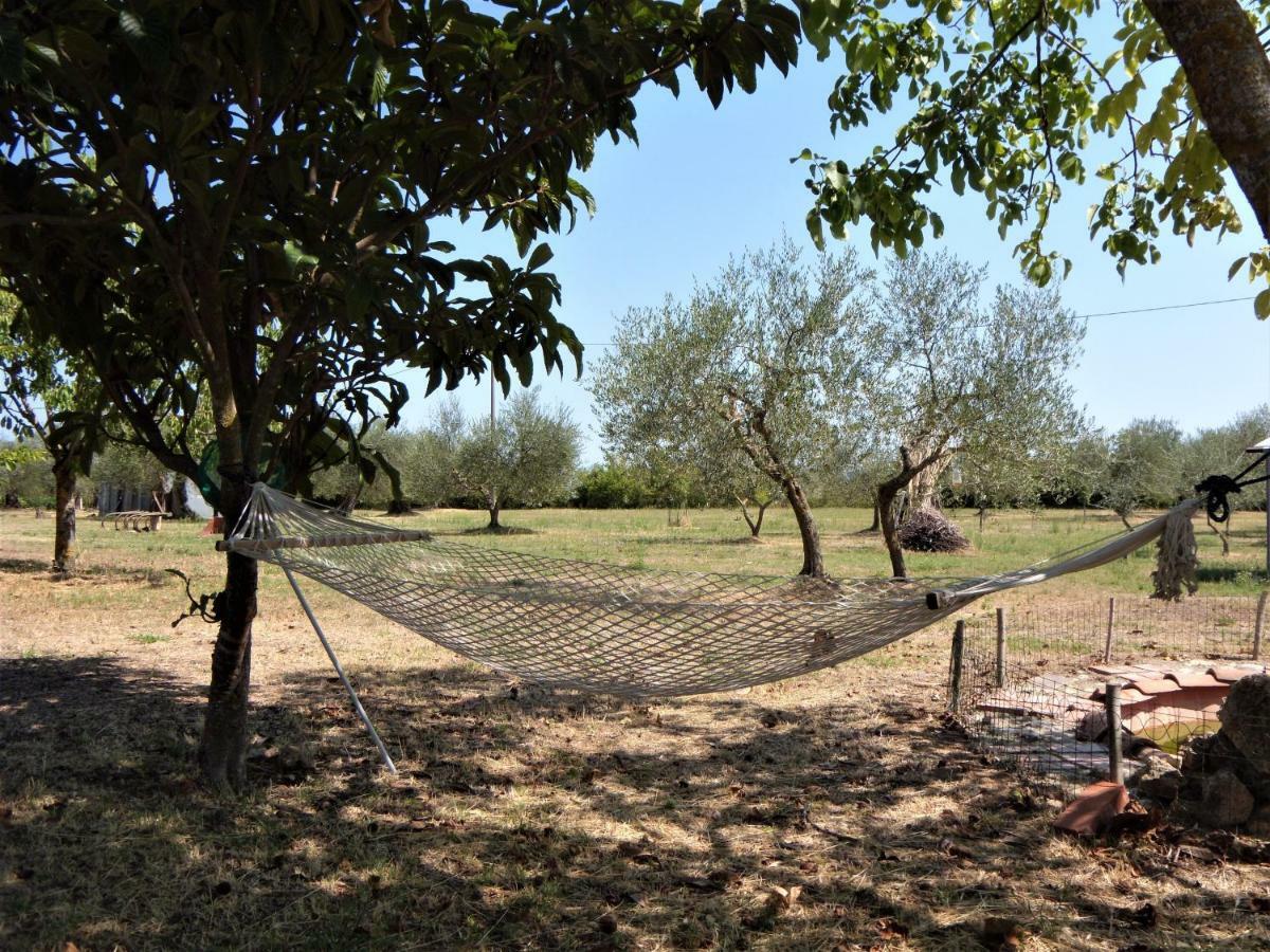 Podere San Guglielmo Sarteano Exterior foto