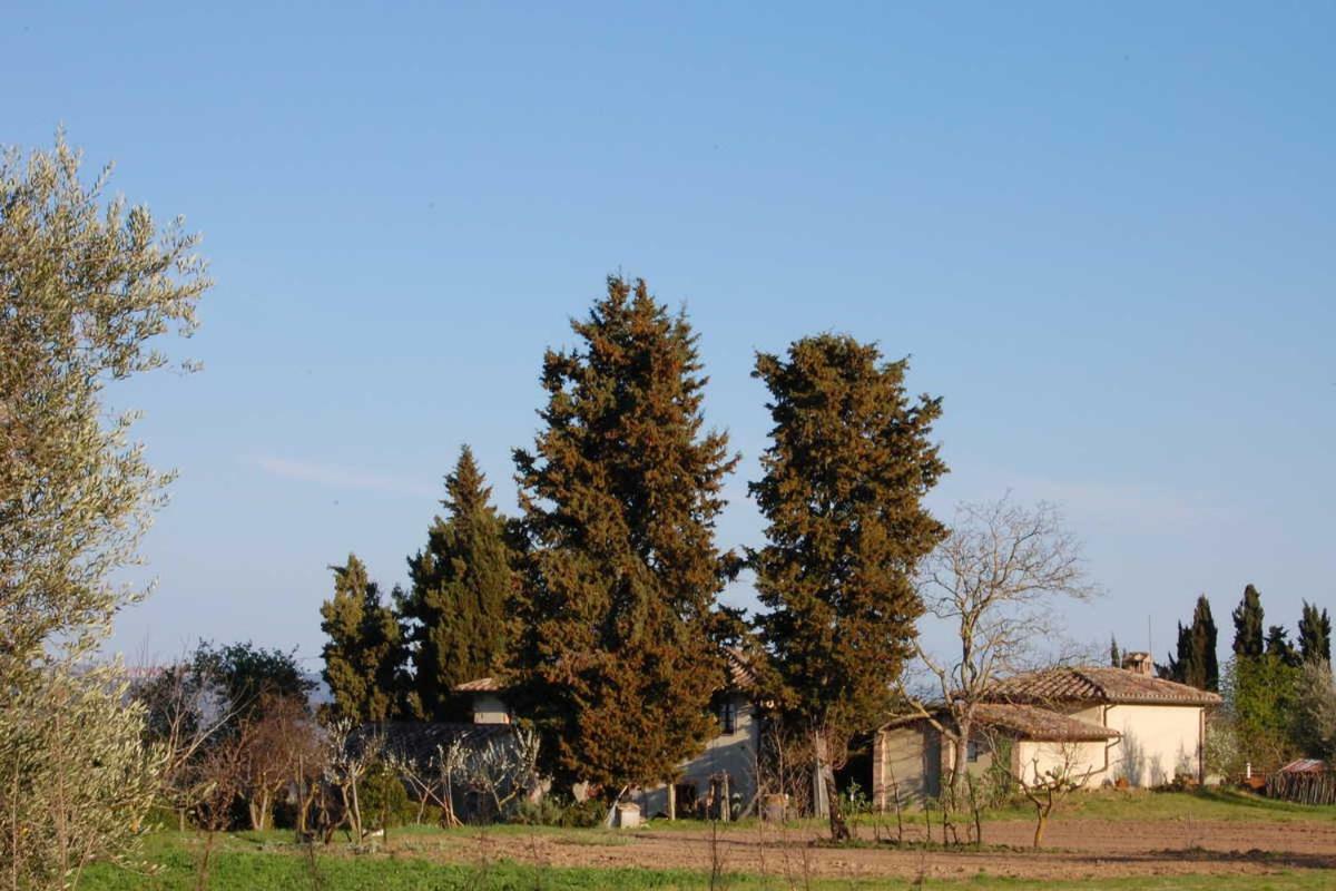 Podere San Guglielmo Sarteano Exterior foto